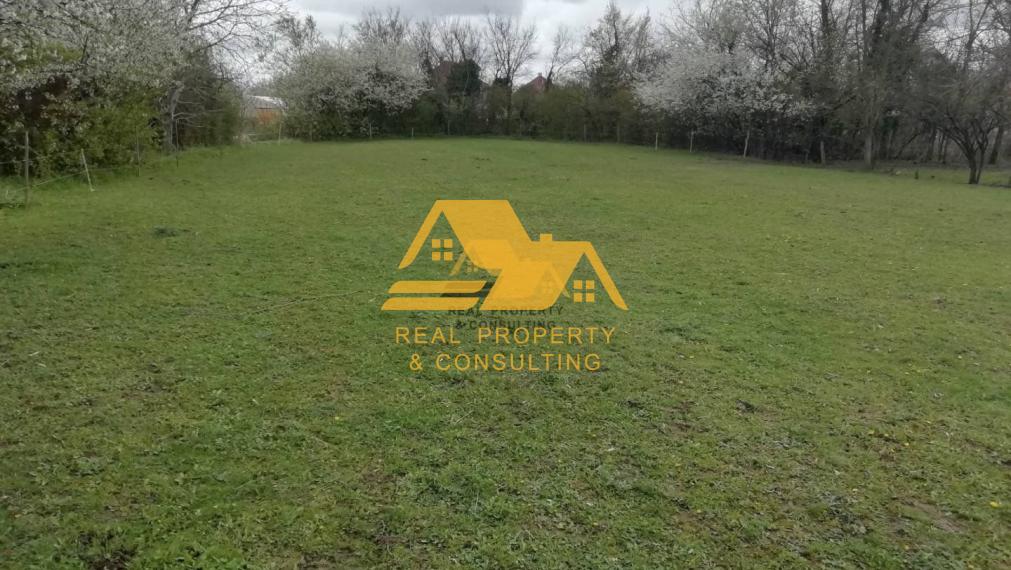 Predám pozemok v obci Martovce