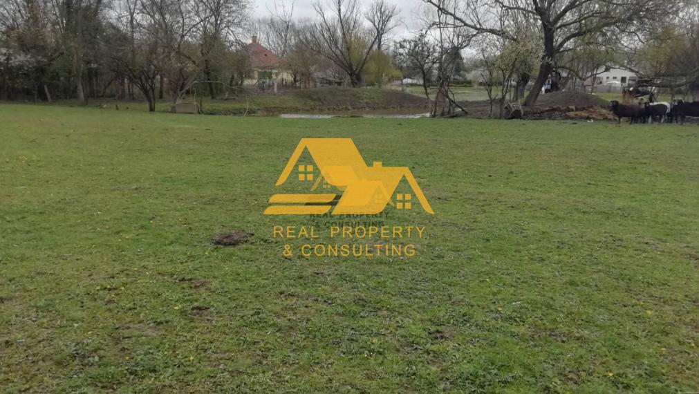 Predám pozemok v obci Martovce