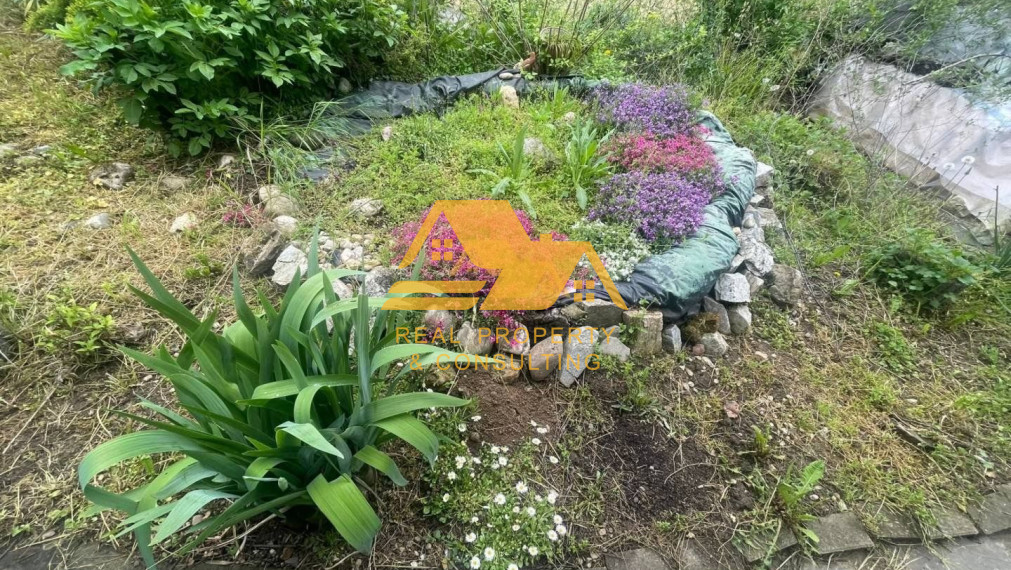 Predám apartmánový dom v obci Podhájska