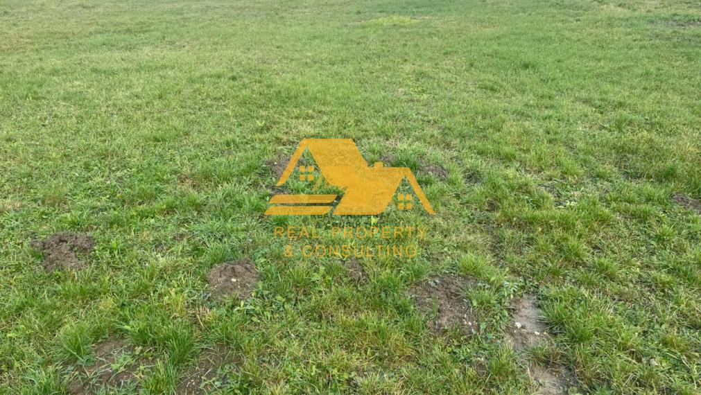 Predám zrekonštruovaný rodinný dom v obci Podhájska