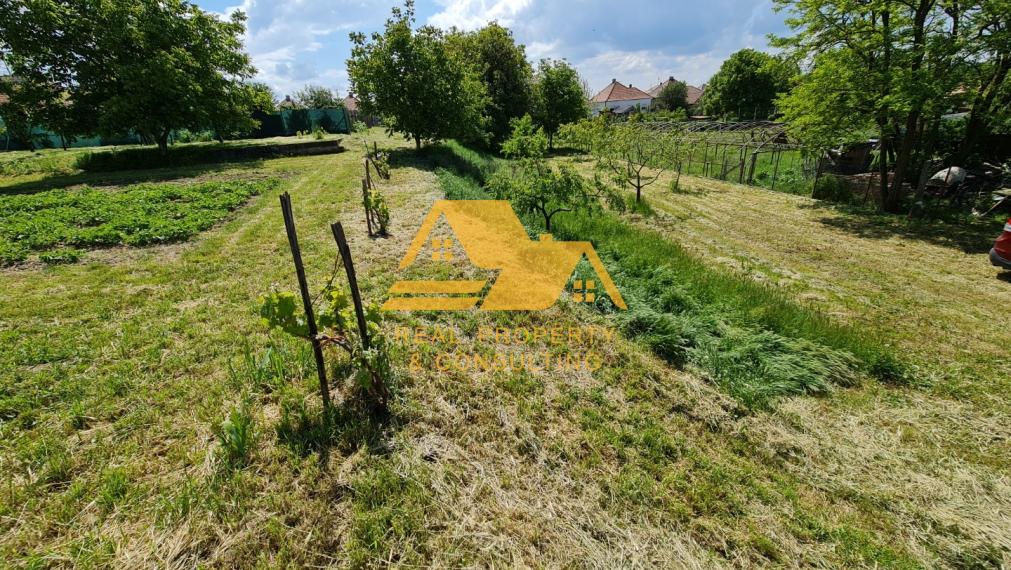 Predám 20a stavebný pozemok v obci Dvory nad Žitavou