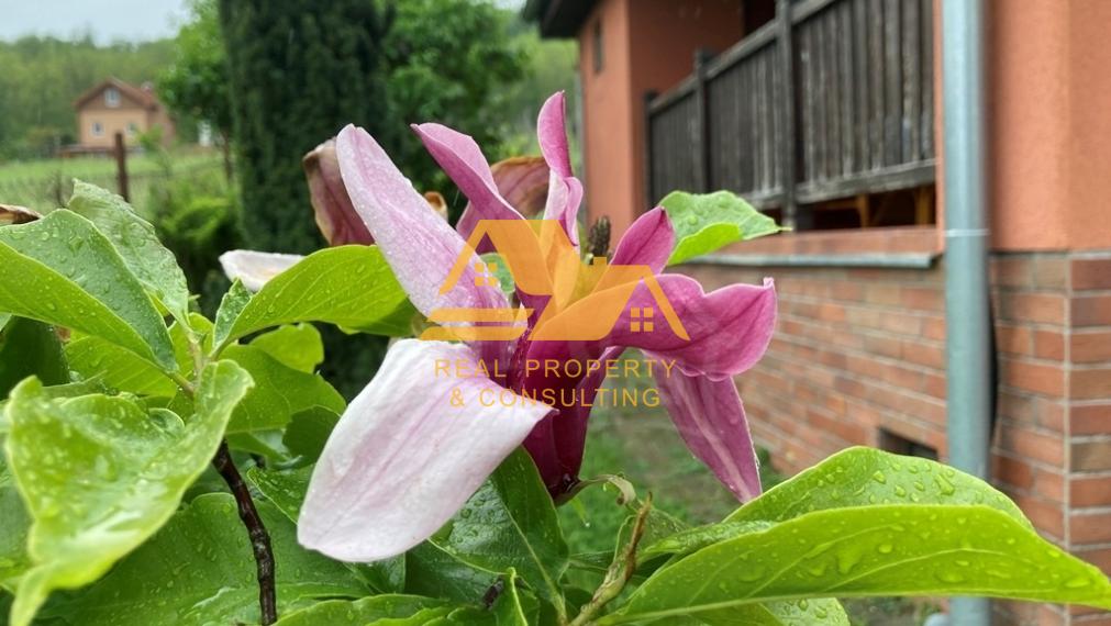 Predám murovanú chatu v obci Podhájska