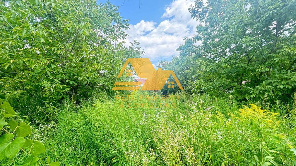 Predám pozemok so starým domom v obci Zemné