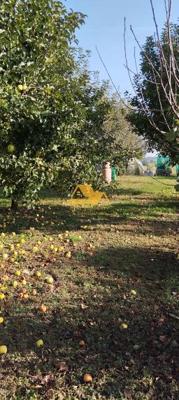 Predám veľkú záhradu v Nových Zámkoch