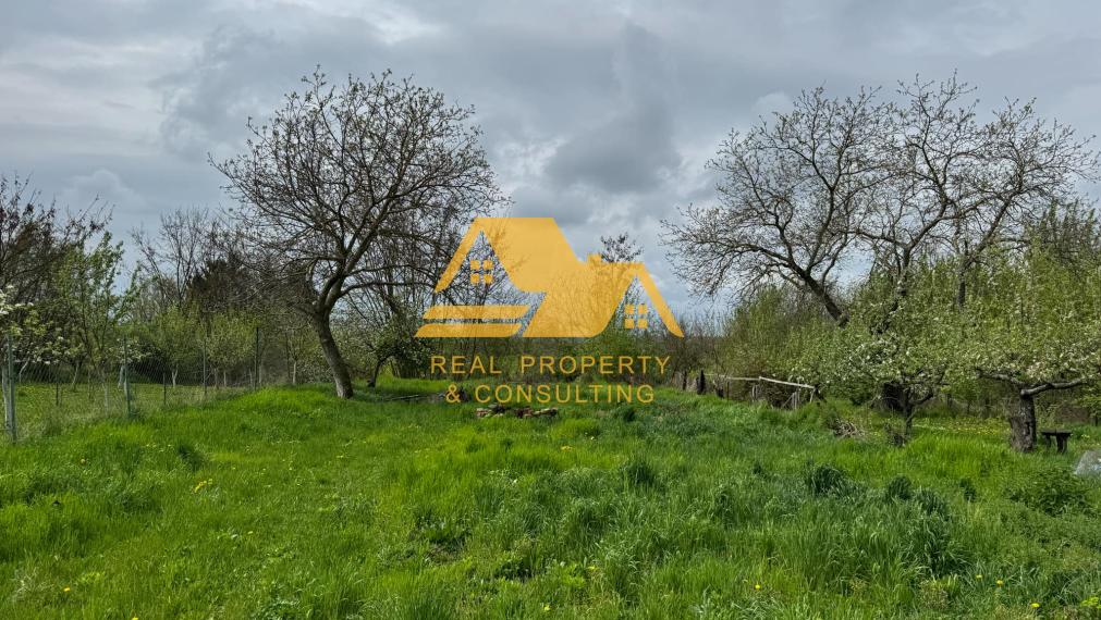 Predám rodinný dom v obci Žitavce