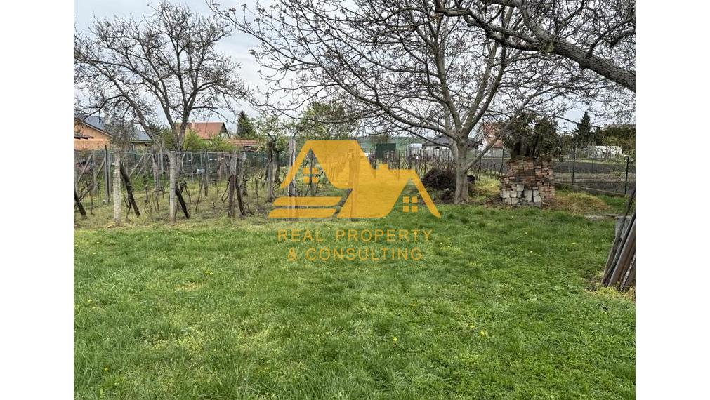 Predám dom s veľkým pozemkom v obci Černík