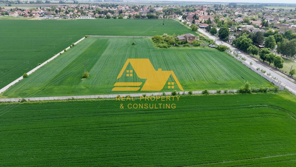 Predám veľký pozemok na podnikateľské účely v obci Dolné Saliby