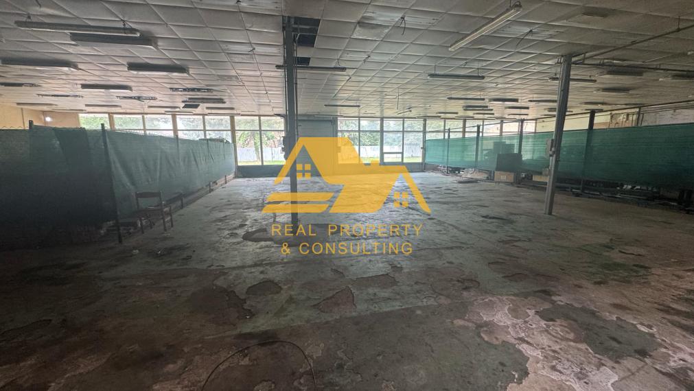 Prenajmem výrobnú halu v Nových Zámkoch