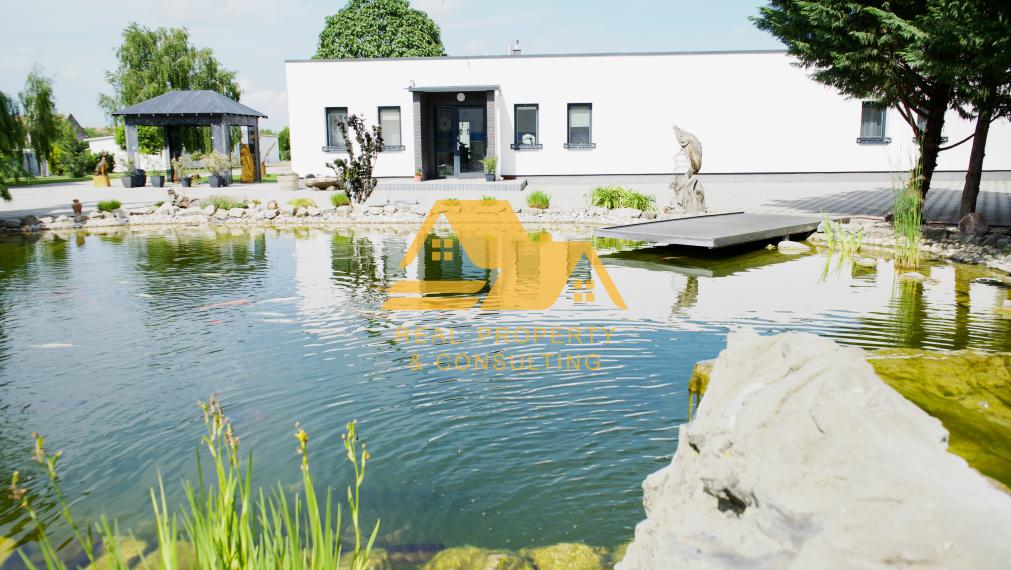 Predám rezidenciu s možnosťou podnikania v Sládkovičove