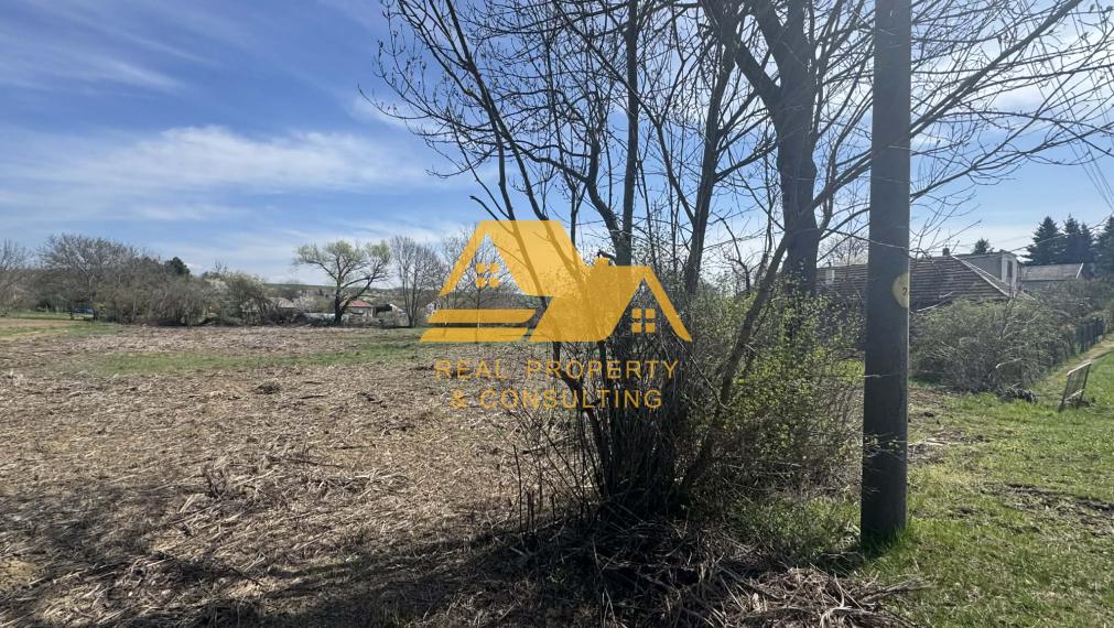 Predám veľký pozemok v obci Bardoňovo