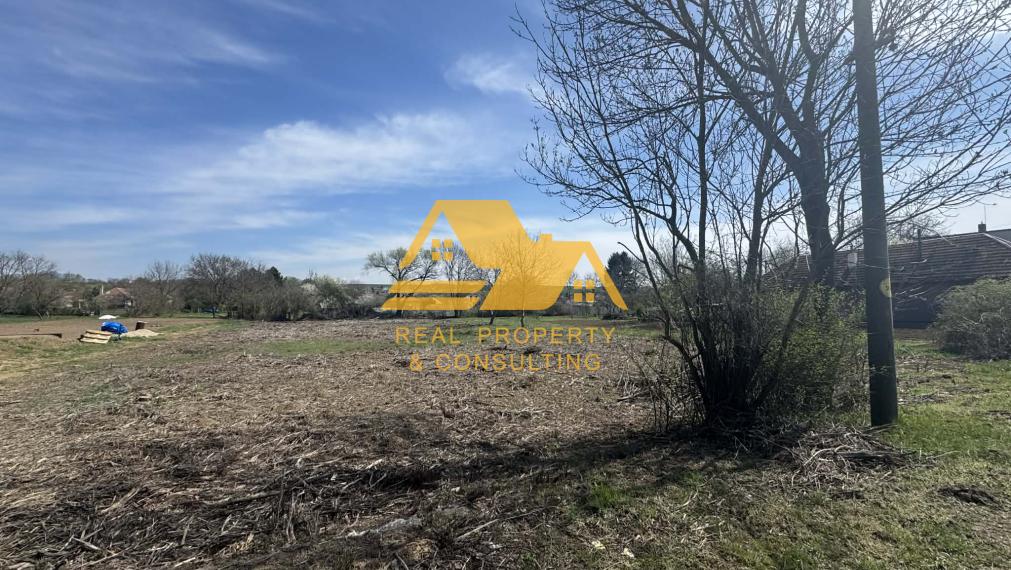 Predám veľký pozemok v obci Bardoňovo