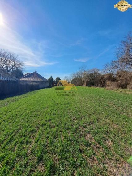 Predám veľký pozemok v obci Dubník