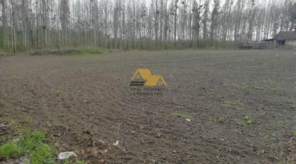 Znížená cena! Predám veľký pozemok v Kolárove