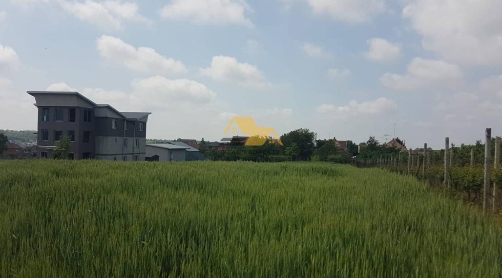 Predám pozemok v obci Veľké Lovce