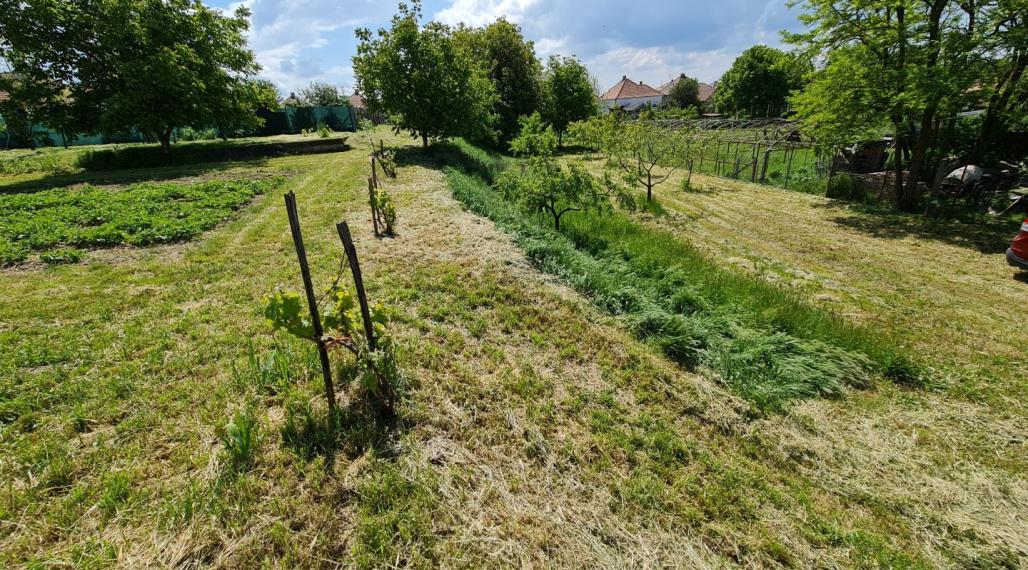 Predám 20a stavebný pozemok v obci Dvory nad Žitavou