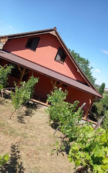 Predám murovanú chatu v obci Podhájska