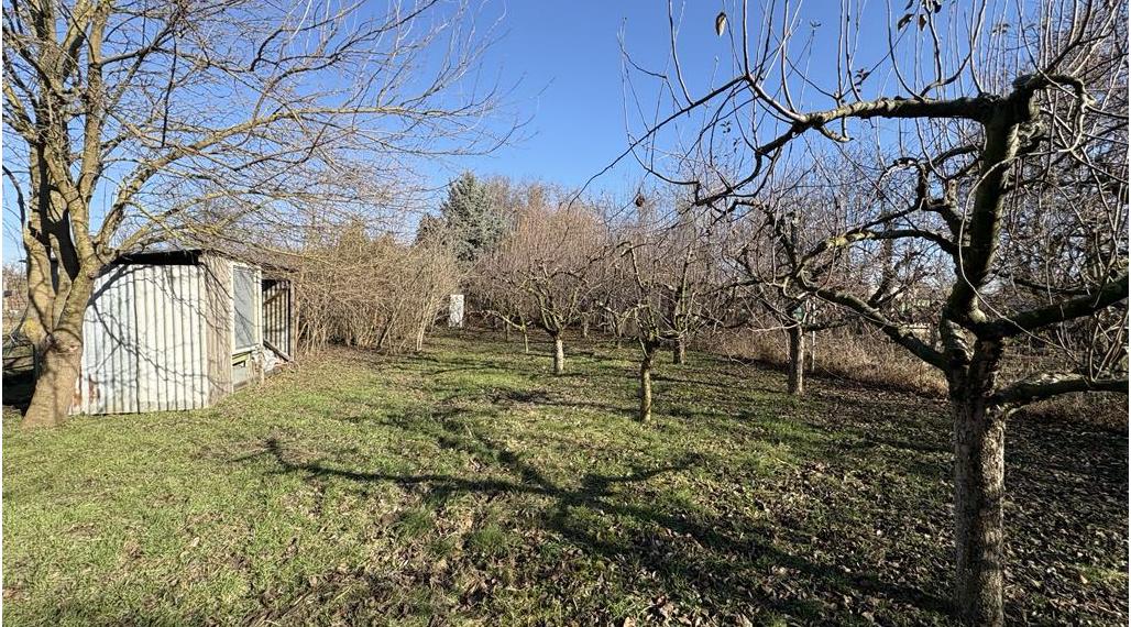 Predám veľkú záhradu v Nových Zámkoch