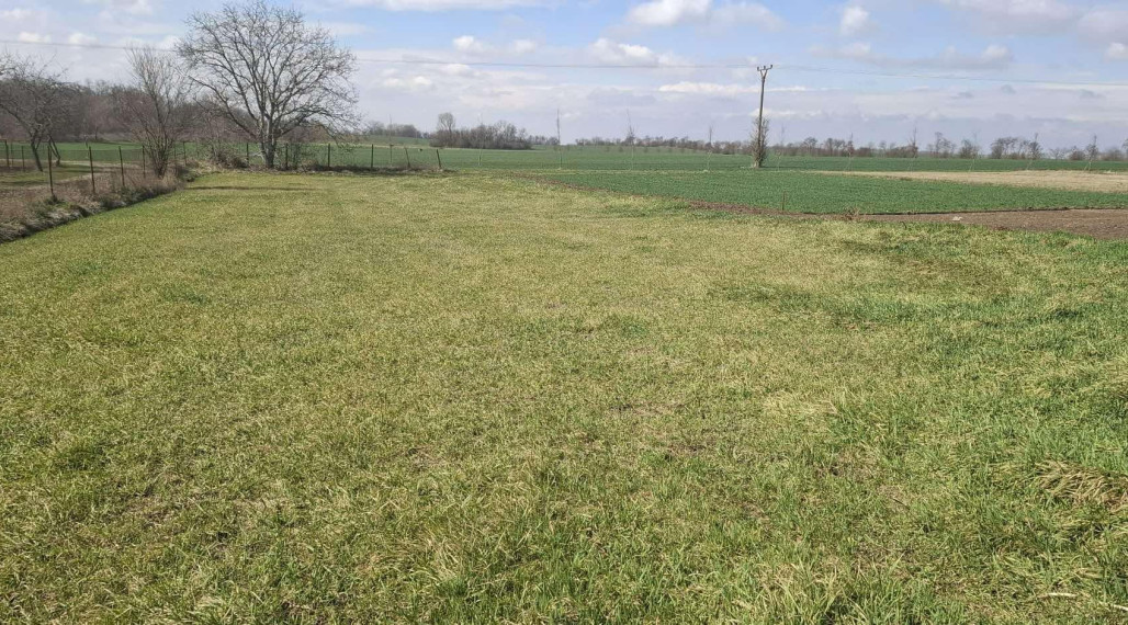 Predám stavebný pozemok v obci Branovo