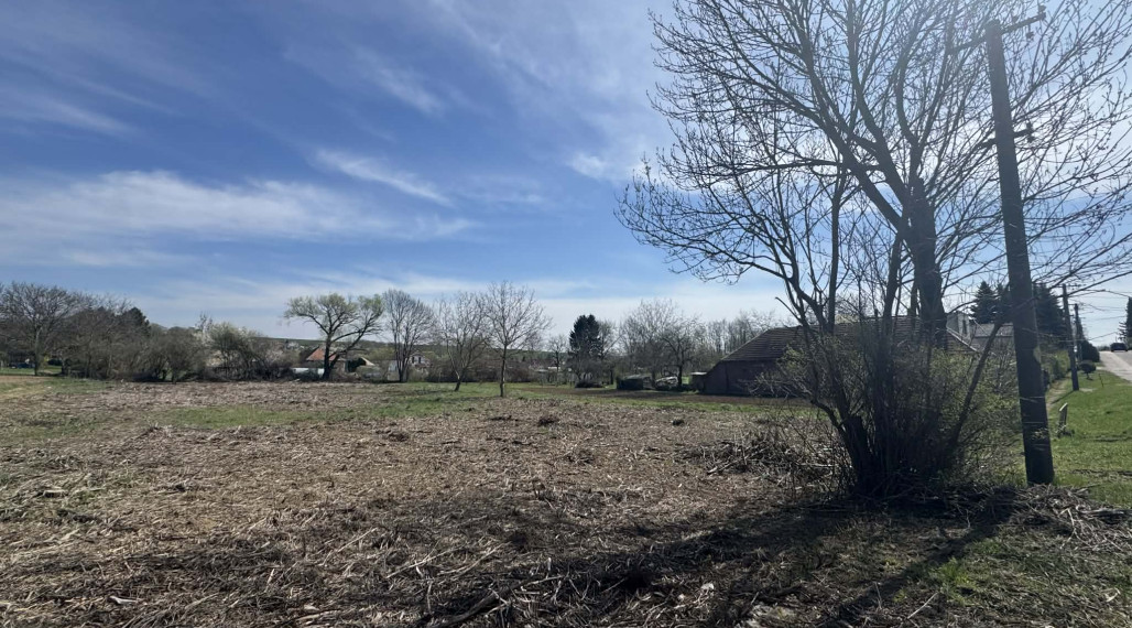 Predám veľký pozemok v obci Bardoňovo