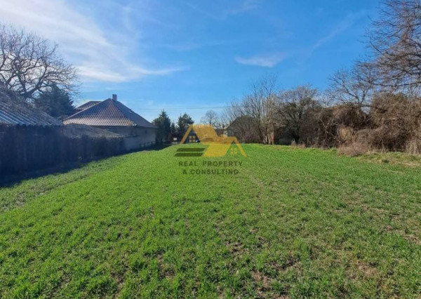 Predám veľký pozemok v obci Dubník