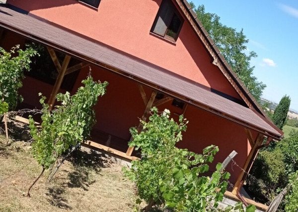 Predám murovanú chatu v obci Podhájska