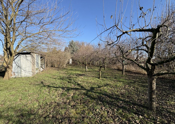Predám veľkú záhradu v Nových Zámkoch