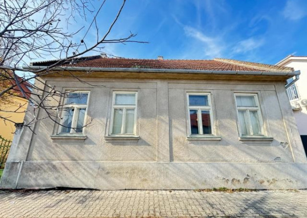 Prenajmem dom s 8 árovým pozemkom na Nitrianskej ulici v Nových Zámkoch