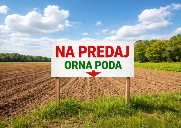 Predám ornú pôdu v obci Čifáre