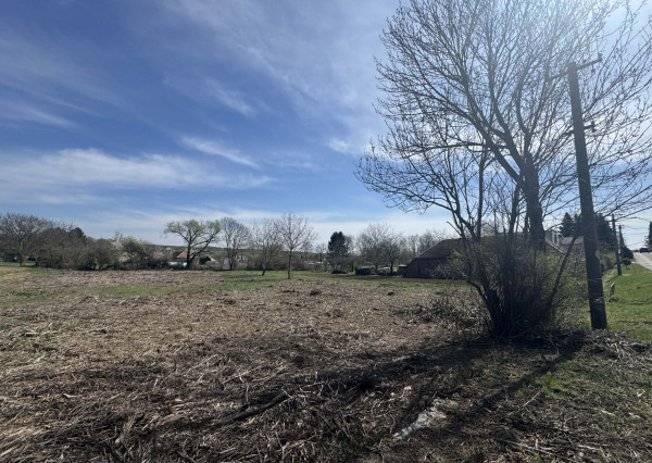 Predám veľký pozemok v obci Bardoňovo