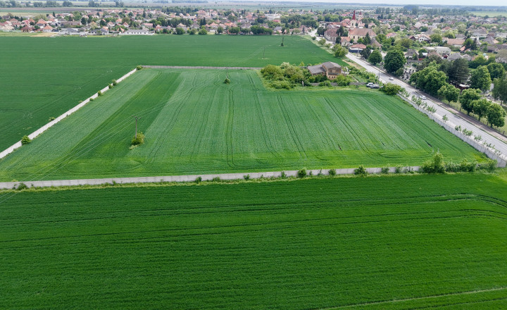 Predám veľký pozemok na podnikateľské účely v obci Dolné Saliby - fotografia 2