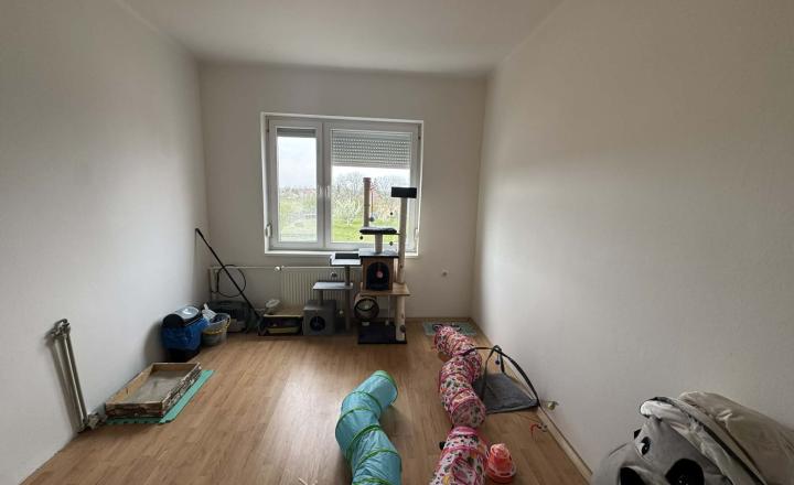 Predám rodinný dom s garážou v obci Tvrdošovce - fotografia 9
