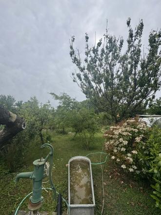Predám murovanú chatu v Nových Zámkoch - fotografia 5