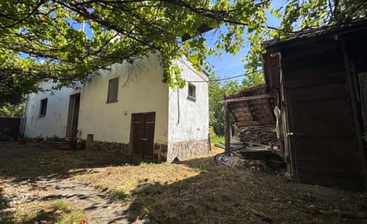 Predám rodinný dom s veľkým pozemkom v Malej Mani - fotografia 1