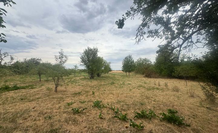 Uniknite ruchu mesta – objavte čaro pokojného bývania v Malej Mani - fotografia 17